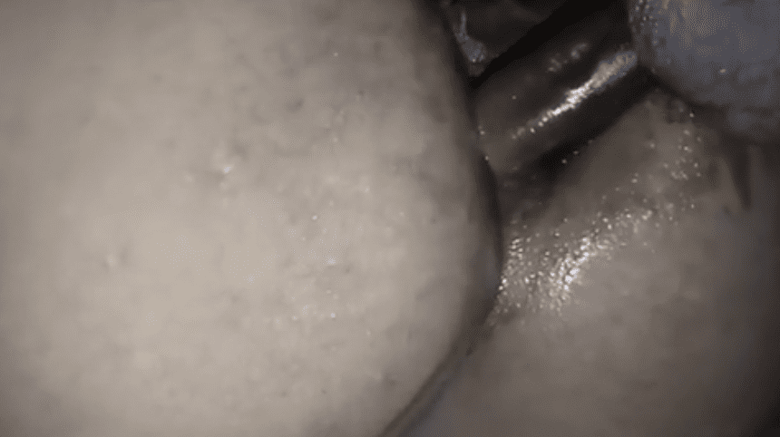 Meri chhoti bhabhi bahut acche se land chusti hai